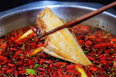 成都郫縣有沒有專業(yè)培訓耗兒魚培訓學校？