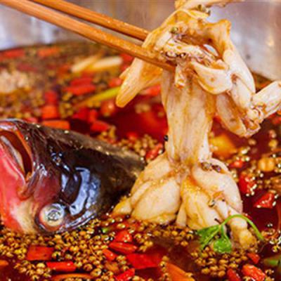 重慶美蛙魚頭火鍋技術(shù)培訓(xùn)多少錢？