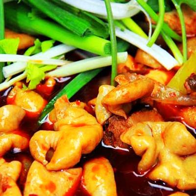 肥腸雞技術培訓要去哪里學？